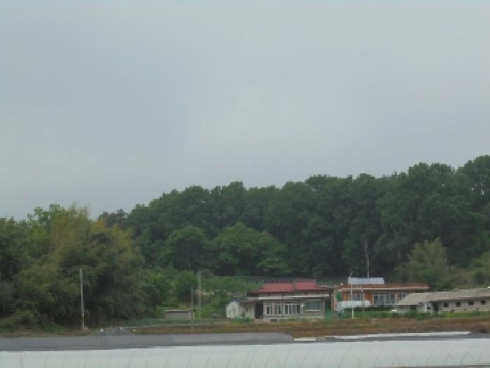 충남 부여군 장암면 임야 경매 물건 사진
