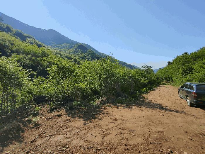충남 논산시 벌곡면 임야 경매 물건 사진 5 · 2025타경20337