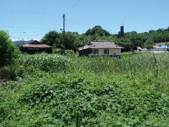 충남 논산시 연산면 답 경매 물건 사진