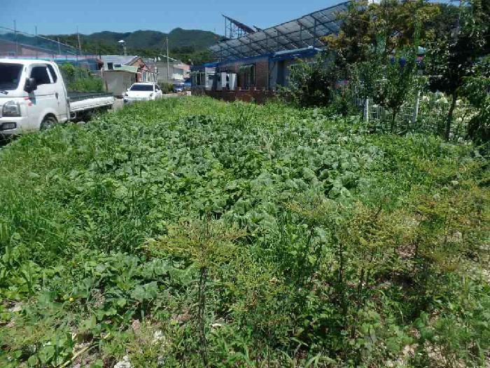 충남 논산시 연산면 답 경매 물건 사진 3 · 2025타경20357