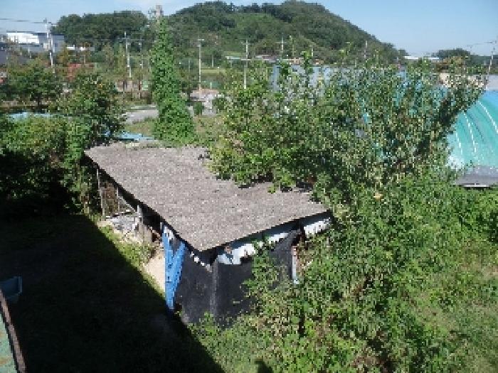 충남 논산시 은진면 전 경매 물건 사진 4 · 2025타경20377