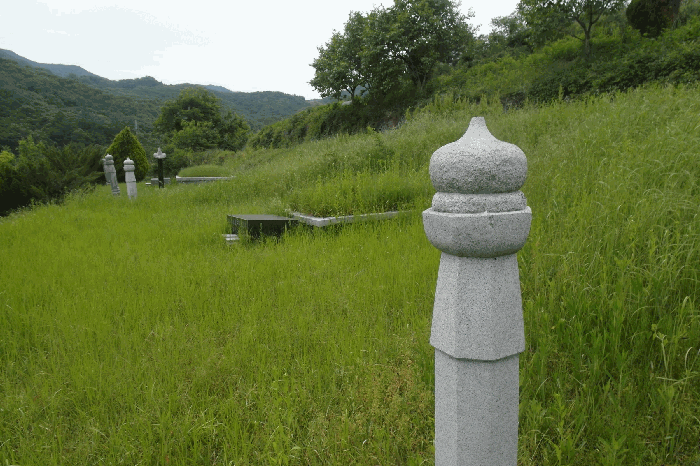 충남 부여군 내산면 전답 경매 물건 사진 6 · 2025타경20386