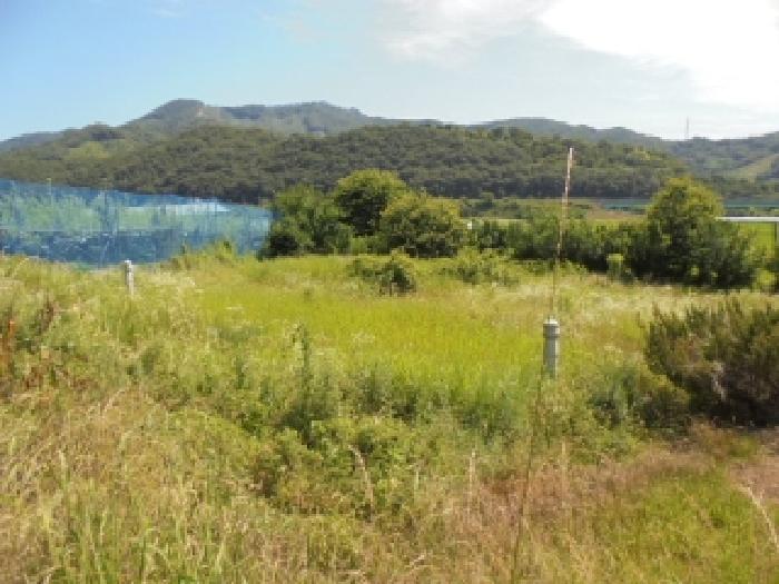 충남 부여군 내산면 전답 경매 물건 사진 3 · 2025타경20386