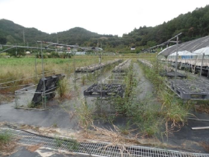 충남 논산시 양촌면 공장/지식산업센터 경매 물건 사진
