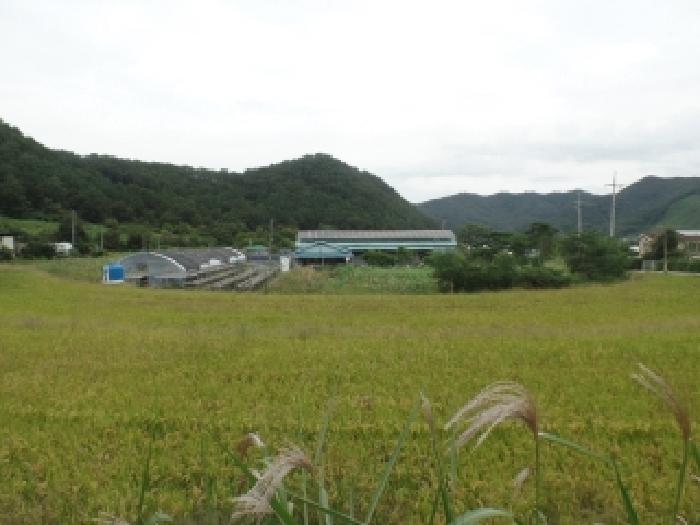 충남 논산시 양촌면 공장/지식산업센터 경매 물건 사진 2 · 2025타경20406