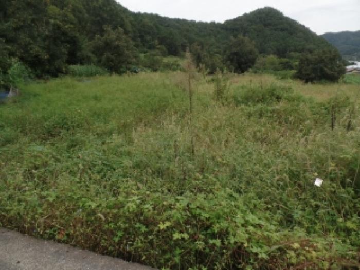 충남 논산시 양촌면 공장/지식산업센터 경매 물건 사진 3 · 2025타경20406