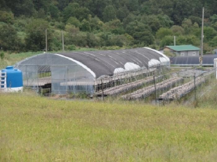 충남 논산시 양촌면 공장/지식산업센터 경매 물건 사진 5 · 2025타경20406