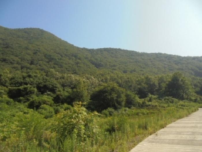 충남 부여군 외산면 임야 경매 물건 사진