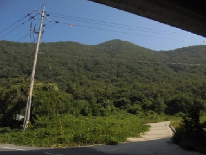 충남 부여군 외산면 임야 경매 물건 사진 2 · 2025타경20408