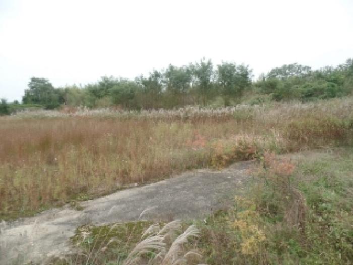 충남 논산시 연무읍 공장용지 경매 물건 사진 4 · 2025타경20434