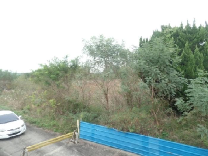 충남 논산시 연무읍 공장용지 경매 물건 사진 5 · 2025타경20434