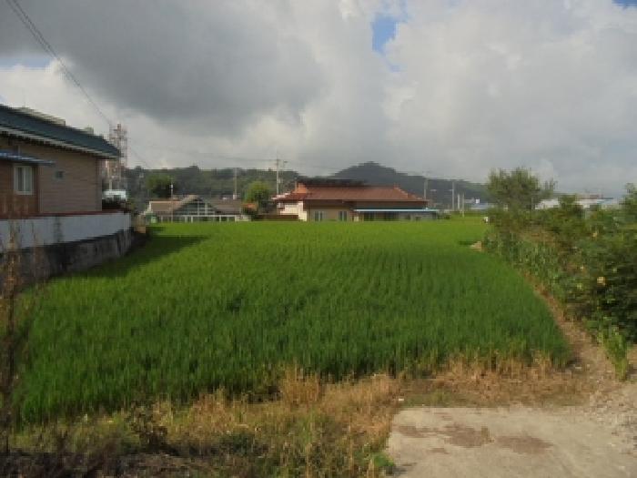 충남 부여군 남면 답 경매 물건 사진