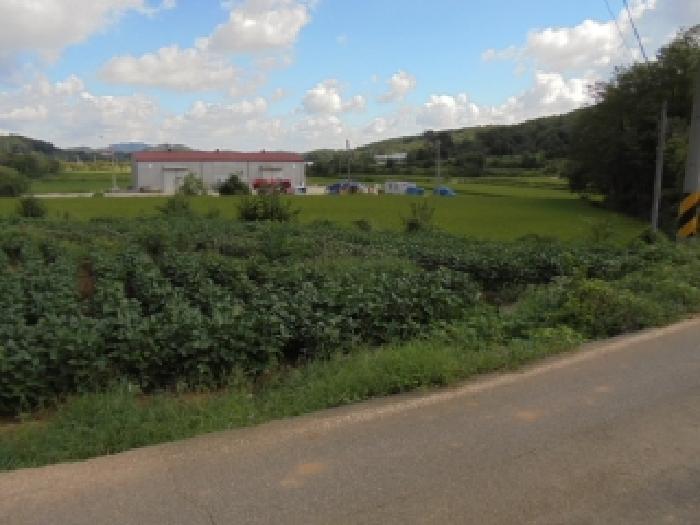 충남 부여군 양화면 답 경매 물건 사진 4 · 2025타경20455