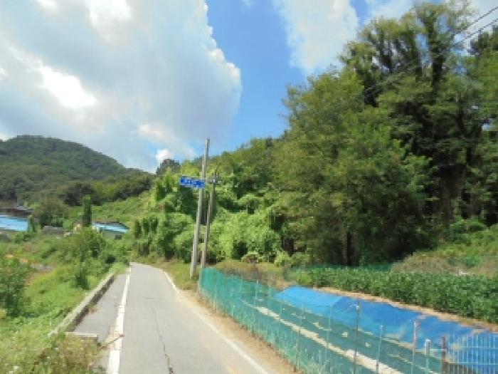 충남 논산시 상월면 대지 경매 물건 사진