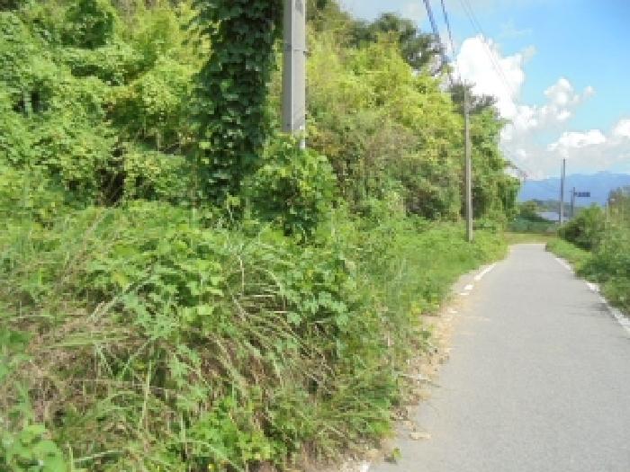 충남 논산시 상월면 대지 경매 물건 사진 4 · 2025타경20457