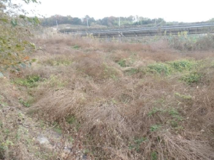 충남 논산시 은진면 대지 경매 물건 사진