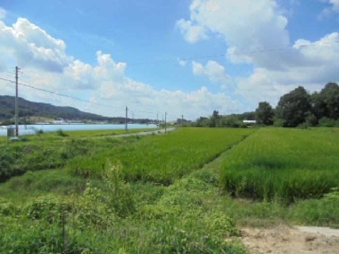 충남 논산시 노성면 답 경매 물건 사진 2 · 2025타경20470