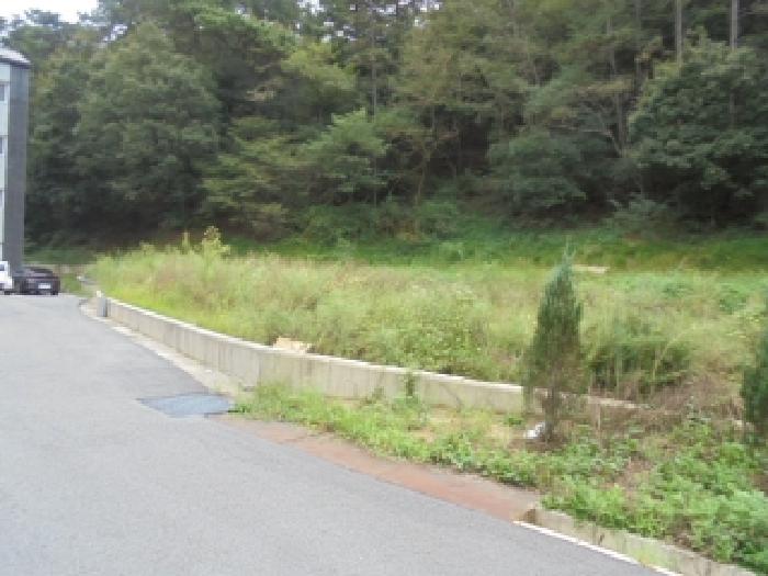 충남 부여군 부여읍 전 경매 물건 사진