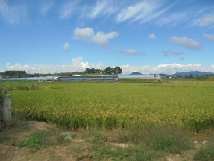 충남 논산시 광석면 답 경매 물건 사진