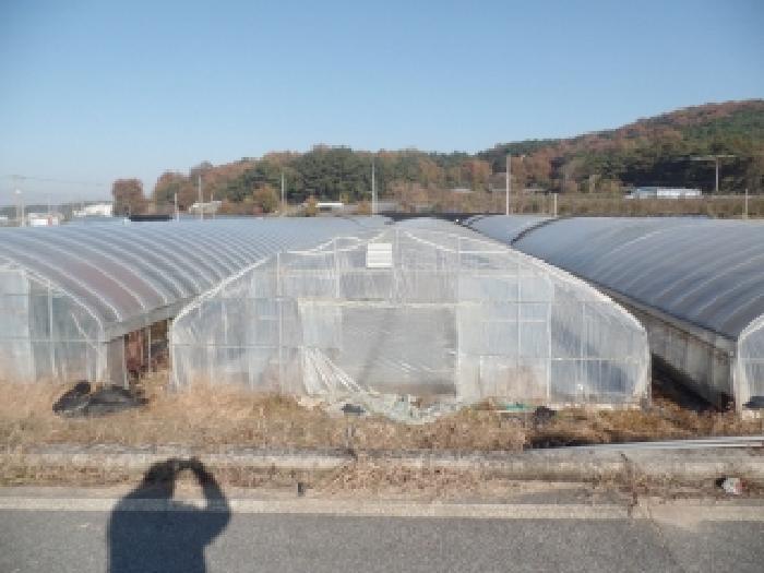충남 논산시 은진면 답 경매 물건 사진