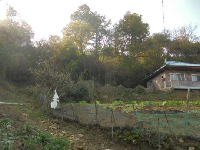 충남 부여군 임천면 대지 경매 물건 사진