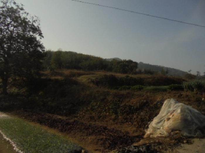 충남 부여군 임천면 대지 경매 물건 사진 4 · 2025타경20511