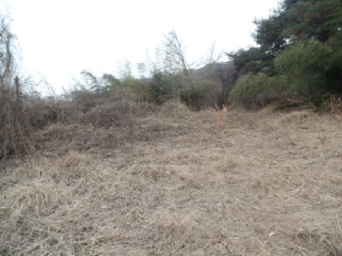 충남 논산시 연산면 임야 경매 물건 사진 5 · 2025타경20519