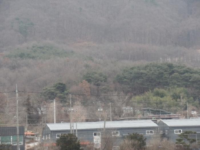 충남 논산시 연산면 임야 경매 물건 사진 6 · 2025타경20519