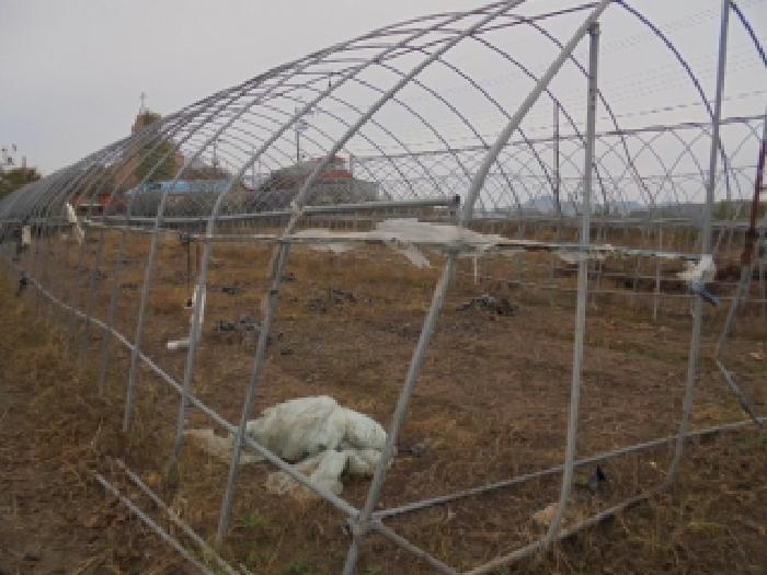 충남 논산시 성동면 전답 경매 물건 사진 4 · 2025타경20527