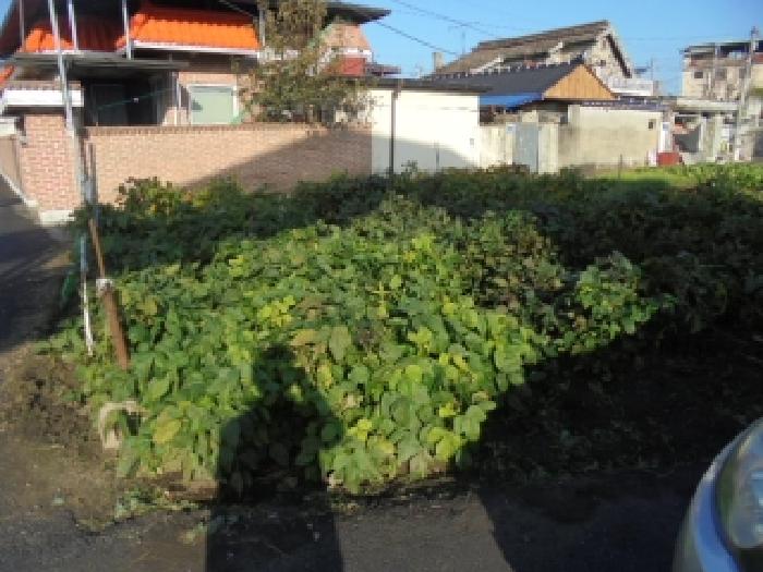 충남 논산시 부창동 전 경매 물건 사진