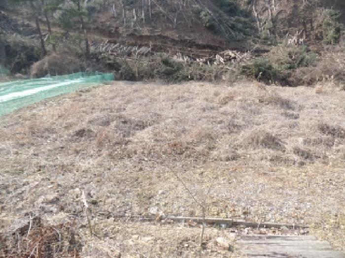 충남 논산시 벌곡면 대지 경매 물건 사진 2 · 2025타경20531