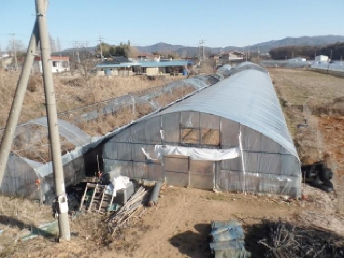 충남 논산시 연무읍 전답 경매 물건 사진