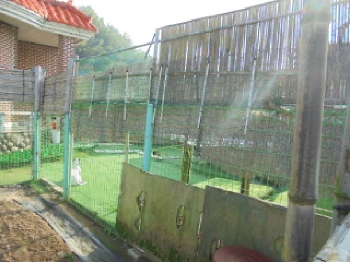 충남 부여군 양화면 전답 경매 물건 사진 2 · 2025타경20545