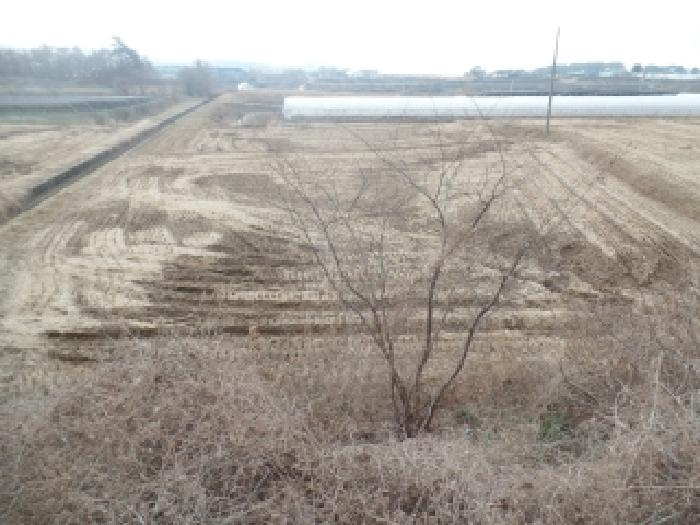 충남 논산시 은진면 답 경매 물건 사진