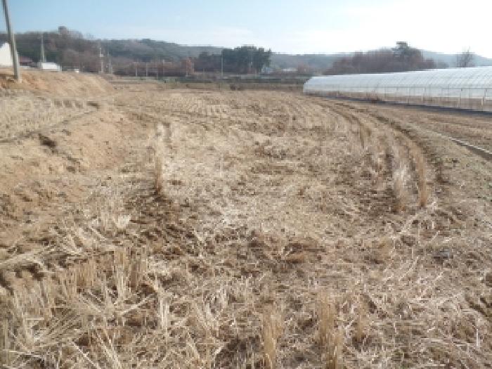 충남 논산시 은진면 답 경매 물건 사진 2 · 2025타경20547