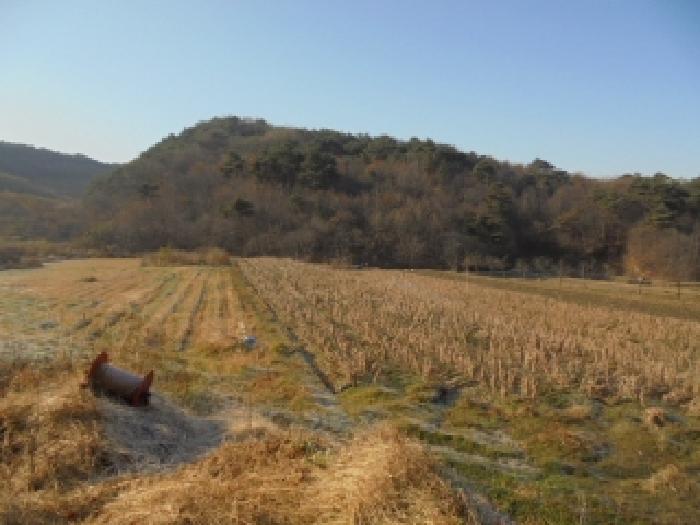 충남 부여군 규암면 임야 경매 물건 사진 4 · 2025타경20548