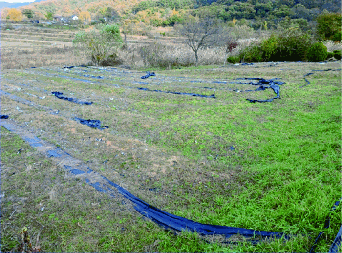 충남 논산시 양촌면 전답 경매 물건 사진 6 · 2025타경20549