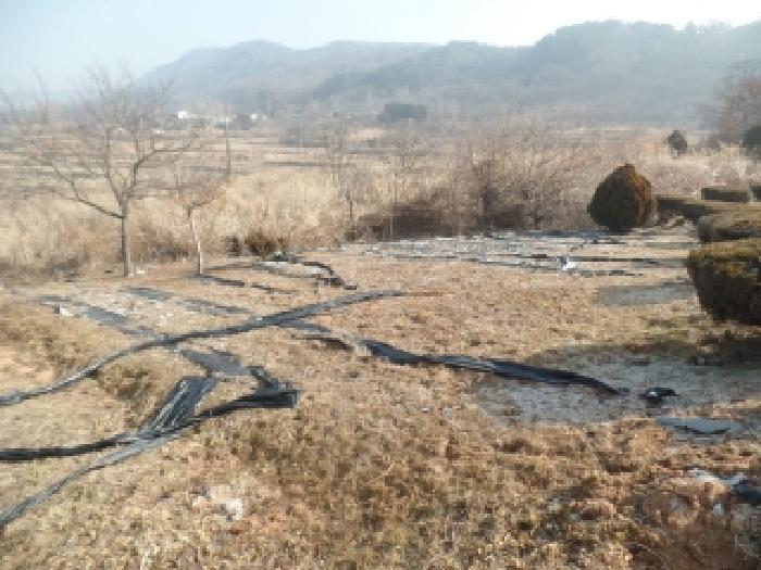 충남 논산시 양촌면 전답 경매 물건 사진 2 · 2025타경20549