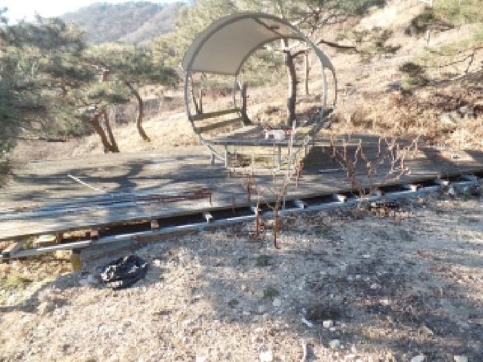 충남 논산시 연산면 답 경매 물건 사진 6 · 2025타경20553