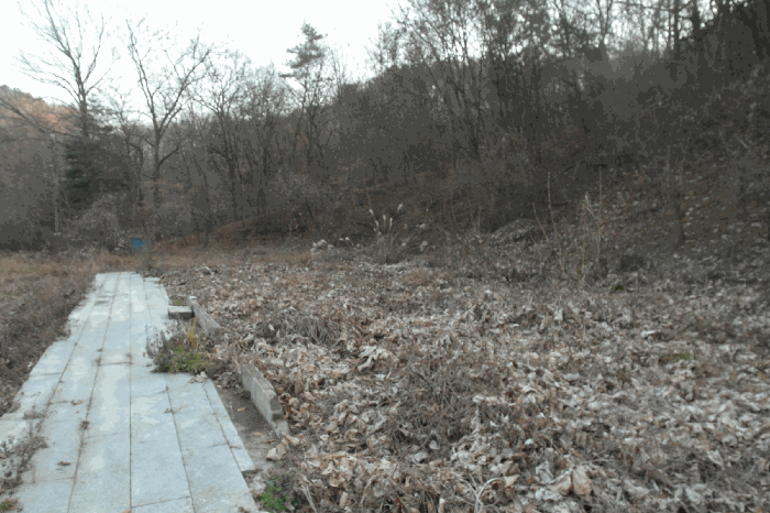 충남 부여군 부여읍 임야 경매 물건 사진 6 · 2025타경20555
