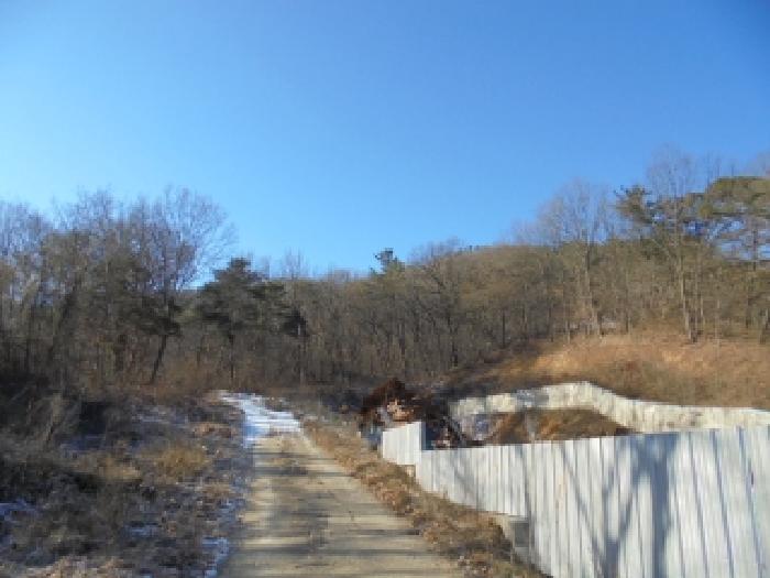 충남 부여군 부여읍 임야 경매 물건 사진
