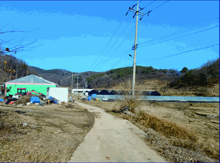 충남 부여군 충화면 임야 경매 물건 사진 5 · 2025타경20558