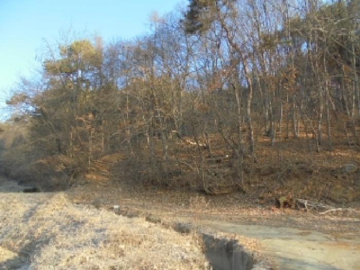 충남 부여군 충화면 임야 경매 물건 사진