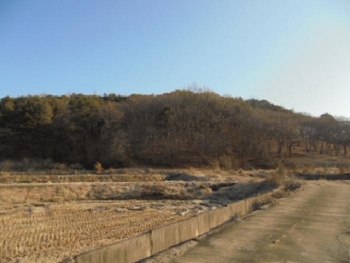 충남 부여군 충화면 임야 경매 물건 사진 2 · 2025타경20558