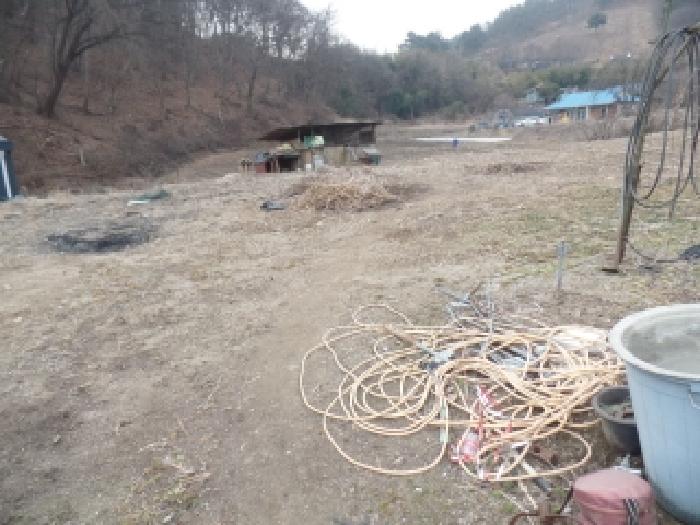 충남 논산시 벌곡면 전 경매 물건 사진