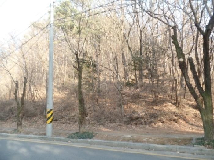 충남 계룡시 금암동 임야 경매 물건 사진 4 · 2025타경20570