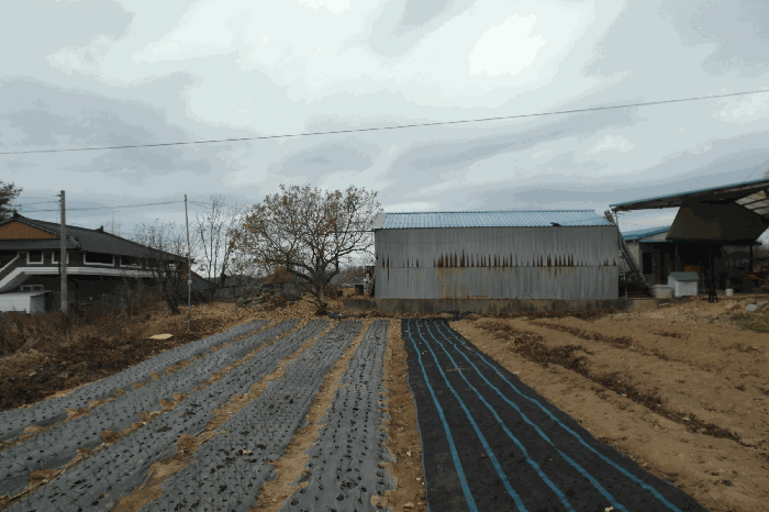 충남 부여군 부여읍 대지 경매 물건 사진 6 · 2025타경20571