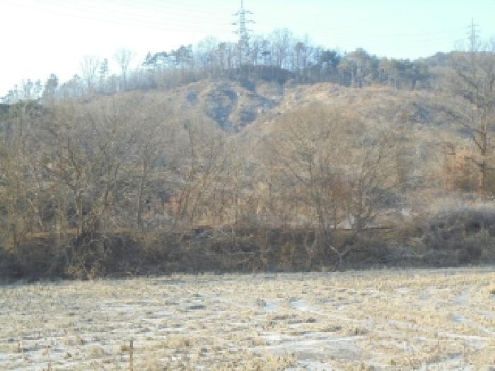 충남 부여군 장암면 임야 경매 물건 사진 3 · 2025타경20581