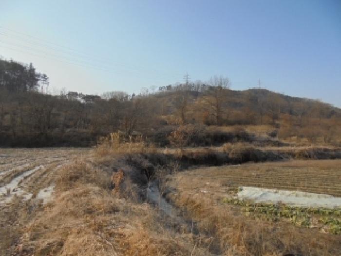 충남 부여군 장암면 임야 경매 물건 사진
