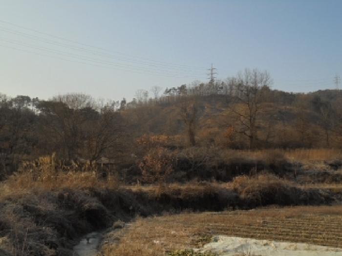 충남 부여군 장암면 임야 경매 물건 사진 2 · 2025타경20581